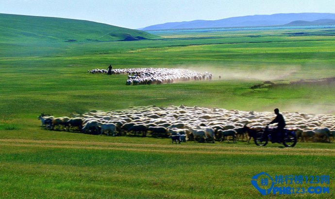 国内十大梦幻草原排行榜插图9