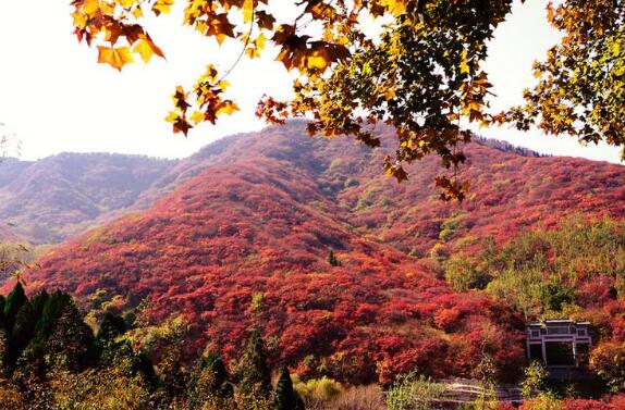 济南好玩的地方排行榜 天下第一泉趵突泉你去过没插图1