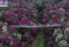 贵州5a景区有哪些？贵州5a景区人气排行榜|爱分享