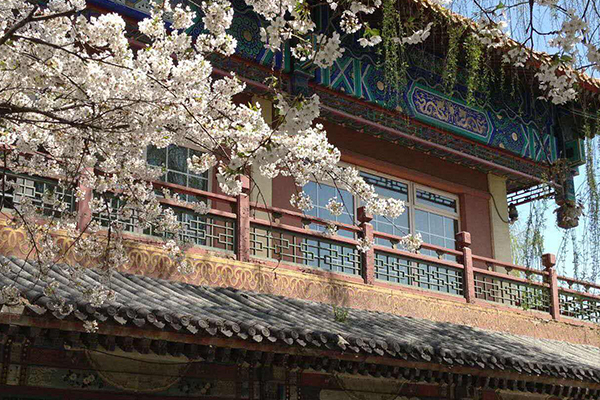 北京十大最具特色的景点:清朝最大王府 恭王府上榜！插图7