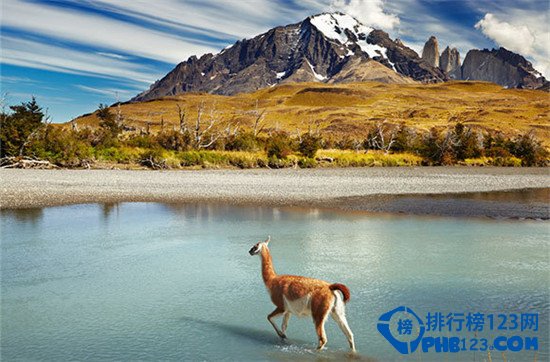 十个最值得去的野生动植物国家公园排行榜插图6