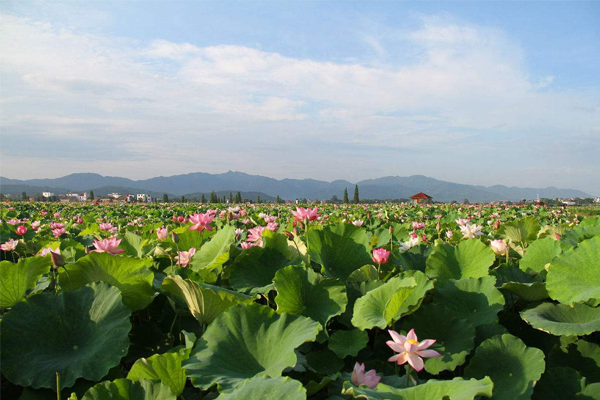 江西省十大休闲小镇 海会镇上榜，第一被称负离子氧吧插图6