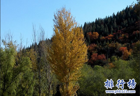 顺义旅游必去景点排行榜：唐指山风景区第3 第4采摘樱桃插图2