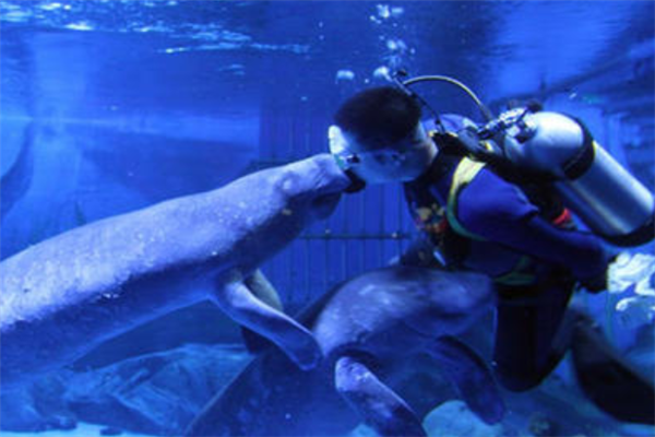 烟台十大最好玩的景点：昆嵛山上榜，第六科技感十足插图5