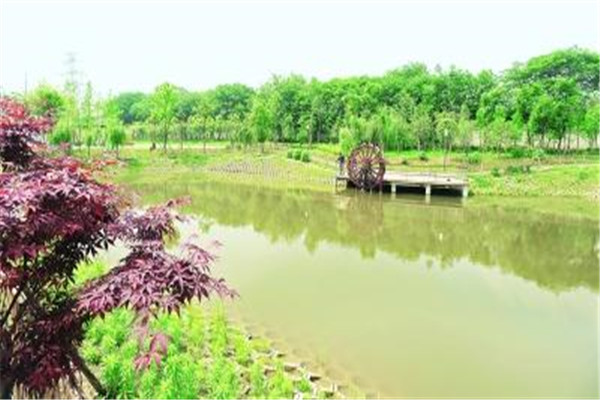 武汉十大公园广场排名：江滩上榜，第5外地游客必去插图2