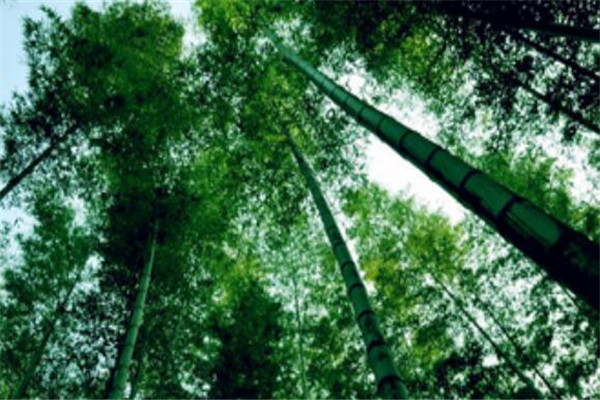 衡阳最好玩的地方推荐 衡阳好玩的地方排行榜插图9