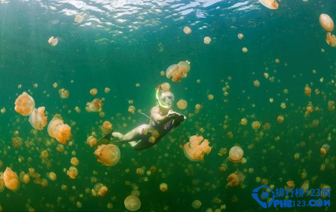 十大中国公民免签海岛排行榜插图1