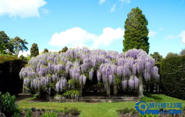 世界最美丽的十大花园插图8