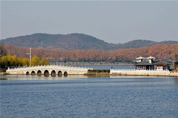 武汉十大冬季旅游好去处：归元寺第四，第六冬季赏茶花插图7