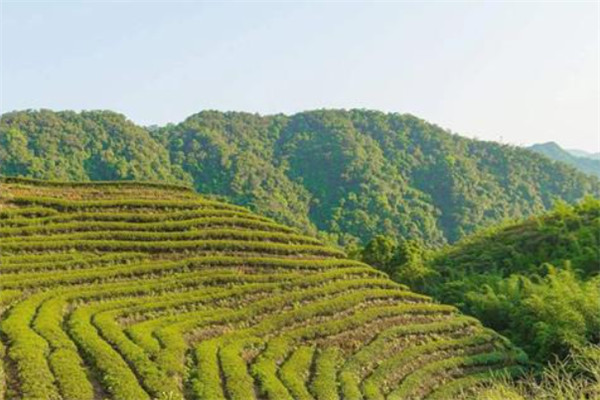 贵州十大名山排行榜：大娄山上榜，第一是避暑名山插图6