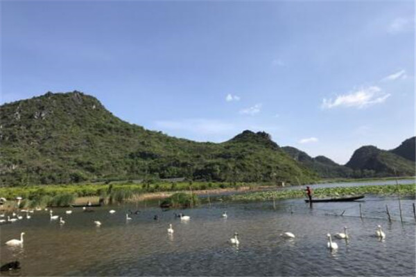 文山州最好玩的地方推荐 文山州好玩的地方排行榜插图1