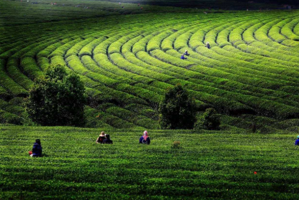 南昌十大最受欢迎的景点：绳金塔上榜，它是我国第一高插图9