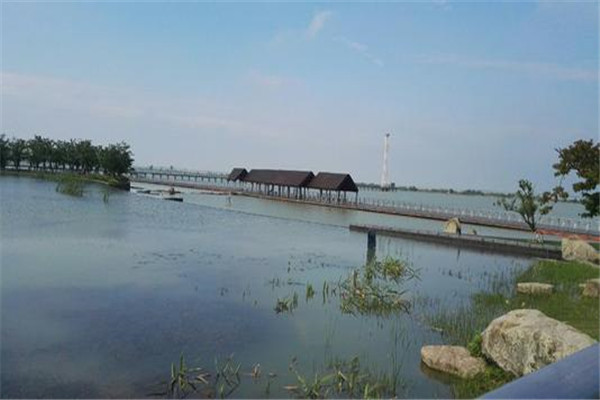 常州十大公园广场排名:青枫公园上榜,第三湿地为主插图6 常州十大公园广场排名:青枫公园上榜,第三湿地为主插图6