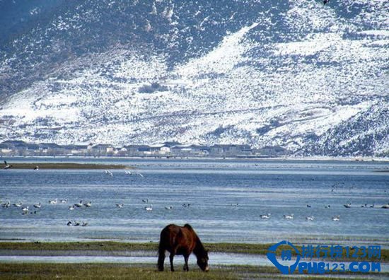 中国十大森林氧吧大盘点插图8