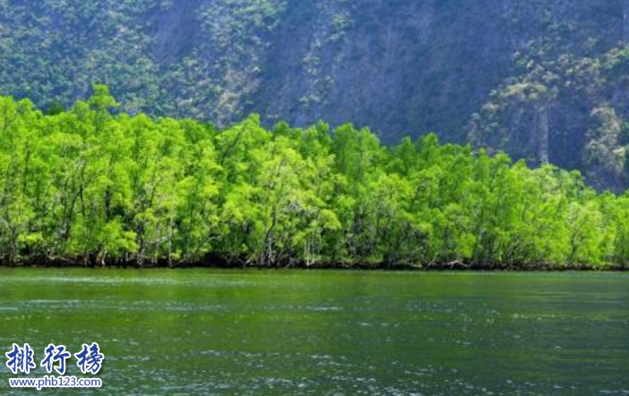 深圳旅游必去的地方有哪些？深圳十大景点排名插图7