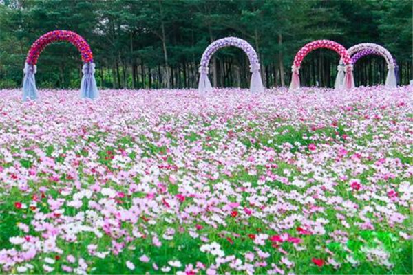 惠州十大热门游乐场排名：金钟园第5，第7室内儿童乐园插图