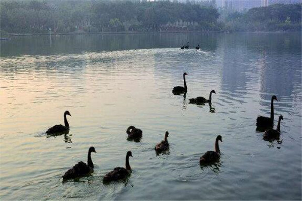 厦门适合情侣玩的地方 厦大上榜，鼓浪屿你们去过吗插图8