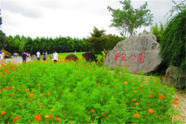 带孩子上海必玩的地方 你带小宝贝去过吗插图3