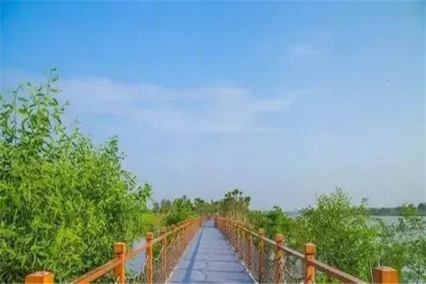 东莞十大人少好玩景点：鲤鱼洲第七，第八可看水生态景观插图7