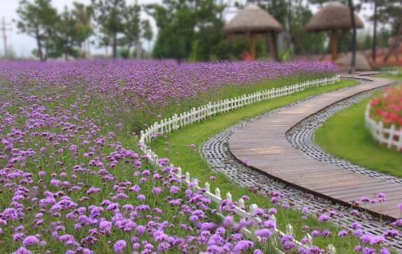 威海好玩的地方排行榜 龙须岛最美日出别错过插图1