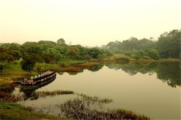 东莞十大人少好玩景点：鲤鱼洲第七，第八可看水生态景观插图6