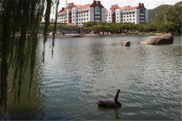 厦门白天约会圣地 你都带她去过几个插图3