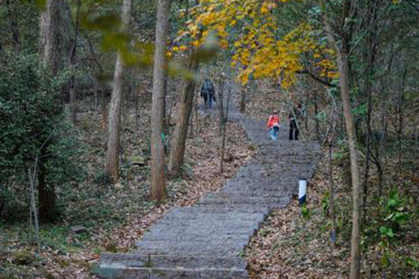 南京十大爬山好去处：紫金山上榜 第一风景秀丽有小西湖美称插图4