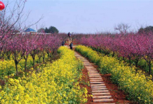 十大旅游景点江西：明月山上榜，第五是瓷器之都|爱分享