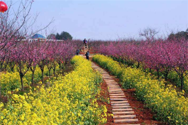 十大旅游景点江西：明月山上榜，第五是瓷器之都插图9