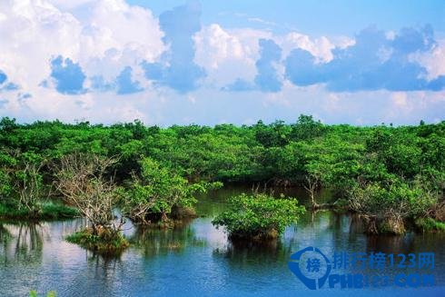 中国最美八大海岸，你说美不美？插图3