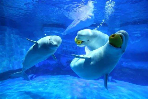 辽宁周边游十大热门景点 辽宁周边游好去处插图6