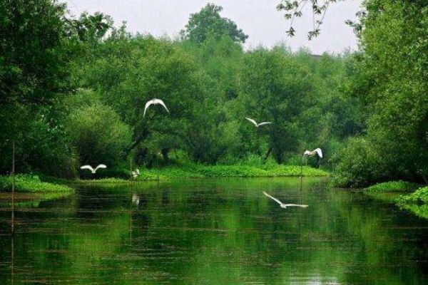 杭州十大景点排行榜 灵隐寺上榜西湖登顶插图2
