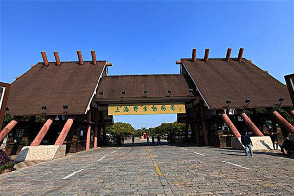 魔都最值得去的10个地方 东方明珠和外滩都值得打卡插图7