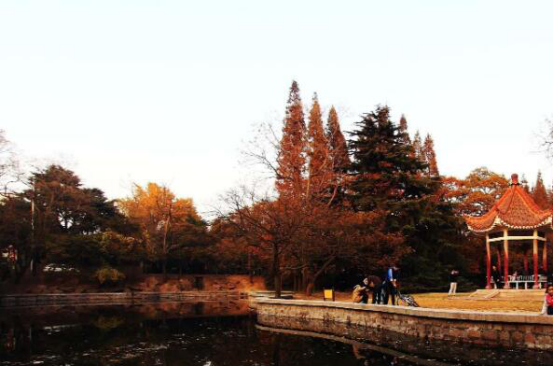 2021年春节十大旅游城市 苏杭上榜,去北京一睹故宫风采吧插图5