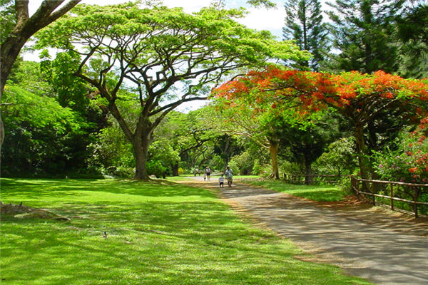 合肥十大公园排行榜：古逍遥津上榜，合肥中央公园最受欢迎插图7