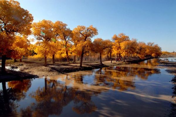 国内适合9月份出游去玩的景点 九寨沟人间天堂黄龙人间瑶池插图3