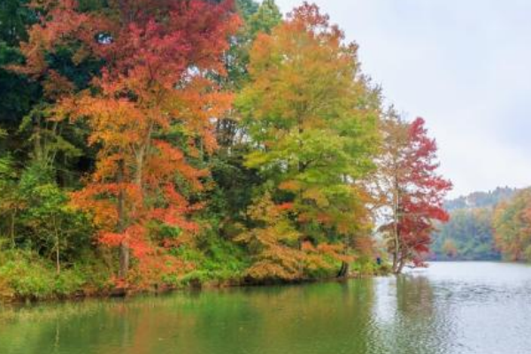 贵阳十大好评景点 黔灵山稳居第一，梵净山肯定上榜插图5