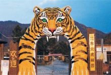 哈尔滨有什么好玩的地方？盘点哈尔滨好玩的地方排行榜|爱分享