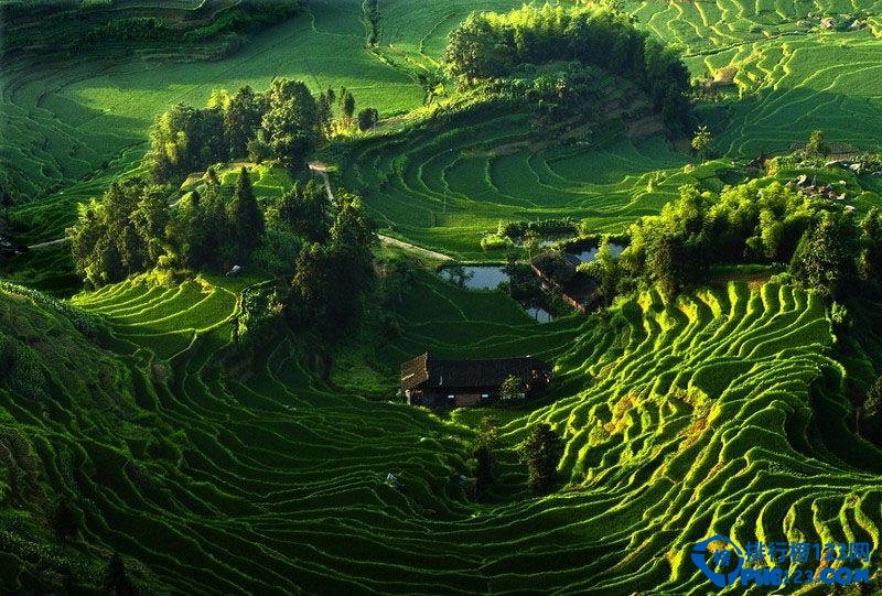 全球最美的十大梯田排行榜插图7