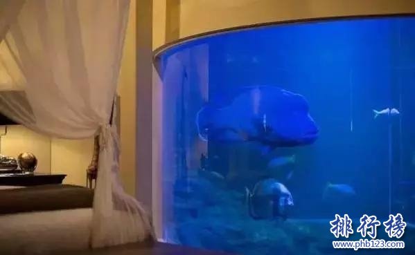 世界上最危险的酒店,狮子看你洗澡插图1