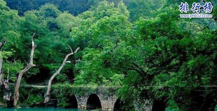 贵州5a景区有哪些？贵州5a景区人气排行榜插图3