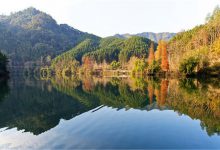 韶关十大公园广场排名:雄州公园上榜，第6看银杏|爱分享