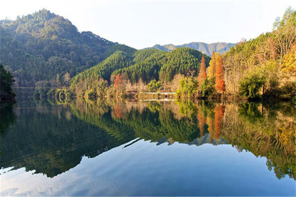 韶关十大公园广场排名:雄州公园上榜，第6看银杏插图9