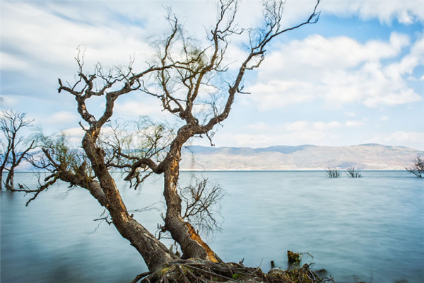 适合一个人散心的地方：凤凰古城上榜，它是油菜花之乡插图8