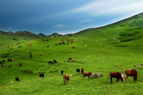 毕节有什么好玩的地方？盘点毕节好玩的地方排行榜插图6