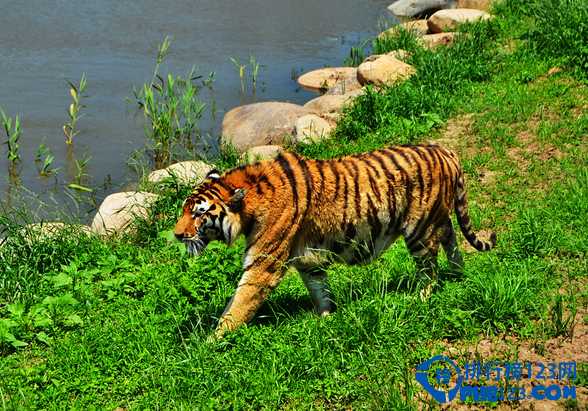 上海有哪些5a景区 上海5a旅游景点大全插图1