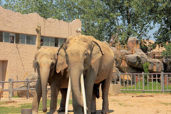 南昌十大最好玩的地方:梅岭上榜 自然与人文景观兼具插图3