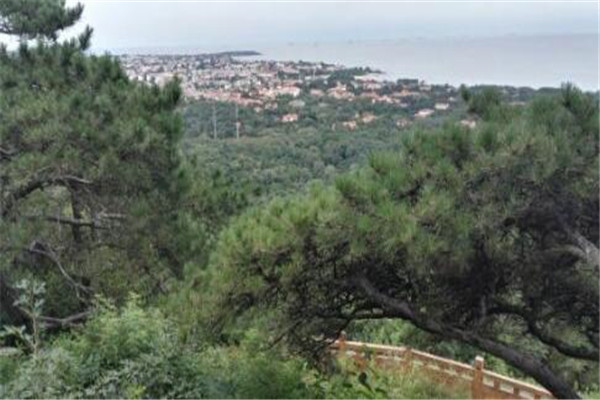 秦皇岛好玩的地方排行榜 天下第一关山海关必到插图5