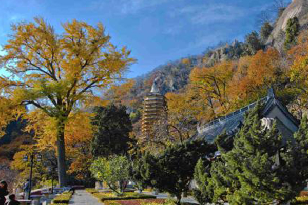 天津十大爬山好去处:九龙山上榜 第一名风光秀丽人文气息浓厚插图