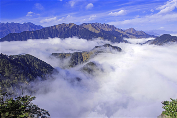 2020四川网红景点排名 熊猫基地独有 五彩池与大自然亲近插图5